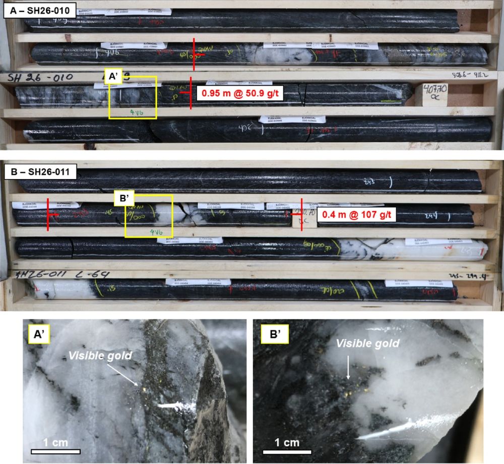 Storheden core showing gold